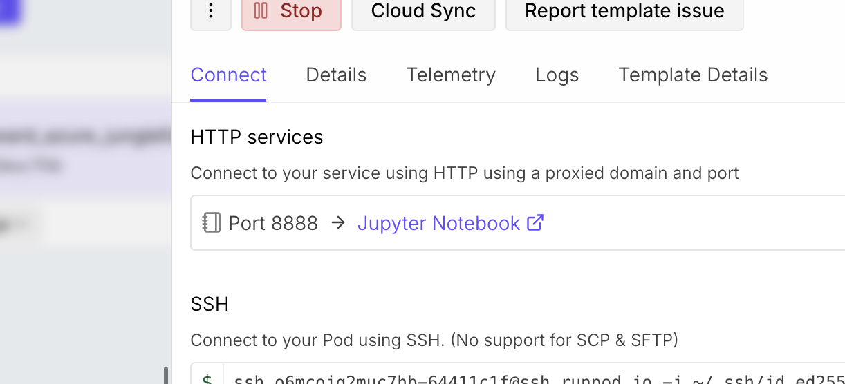 opening the jupyter notebook from the pod