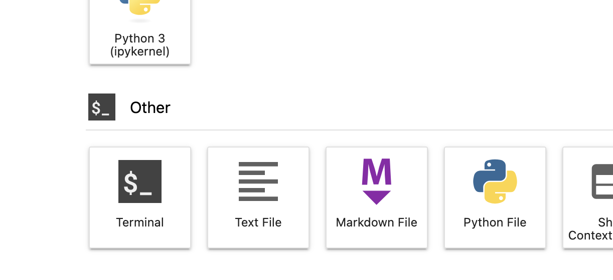 starting a terminal in the jupyter notebook