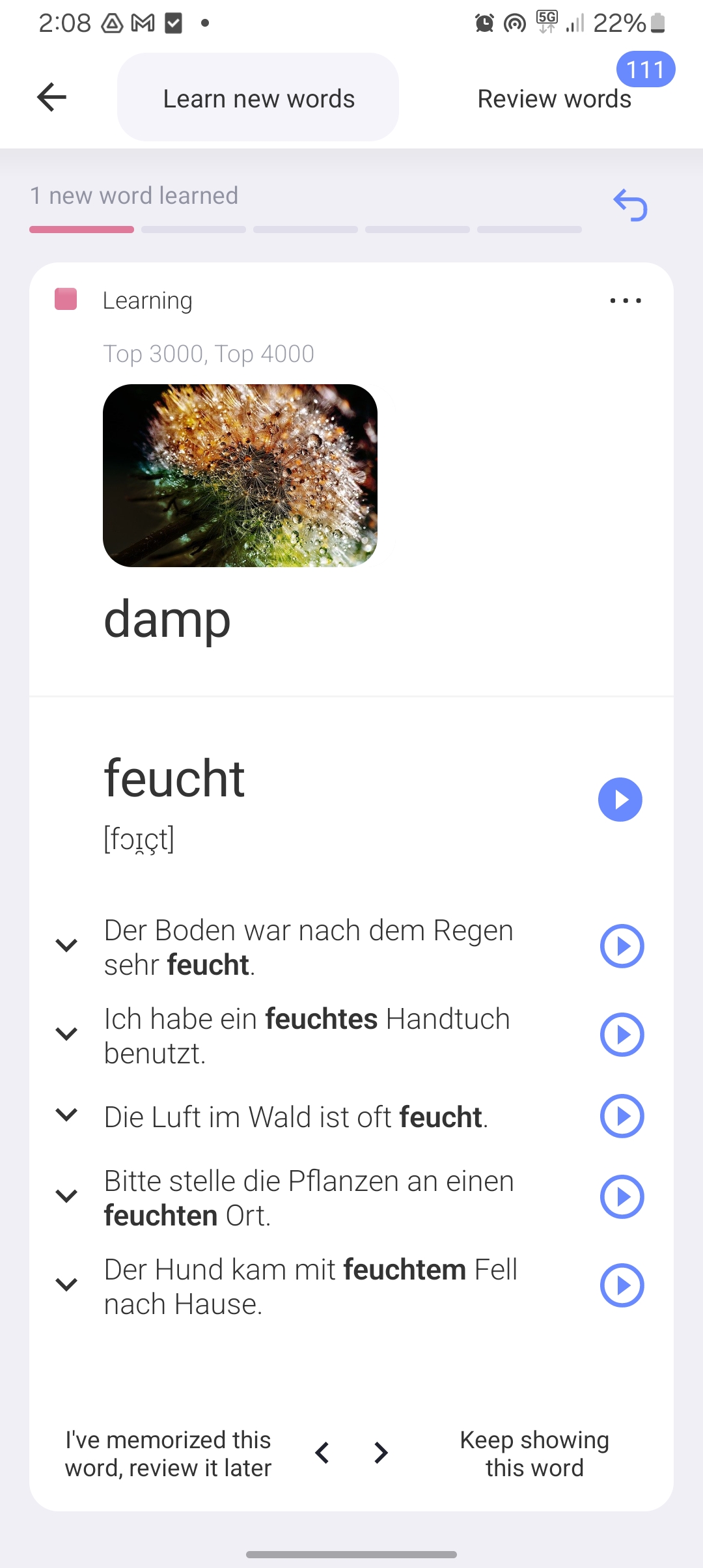 reword app word with examples 1